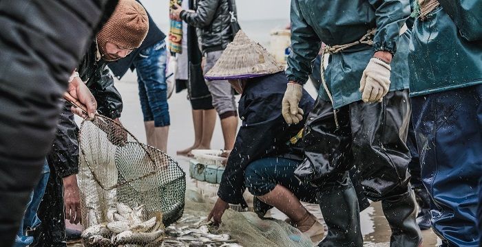 梦见自己捞鱼是什么意思，梦见自己捉了好多只鹅和鱼图1