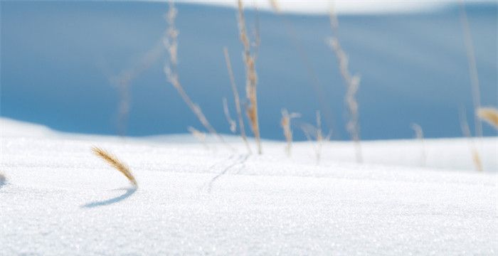 梦见下雪是不是会有丧事，别倒在大雪封山前是什么意思图2