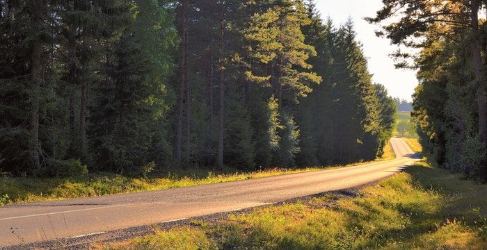 梦见自己迷路又问路图2