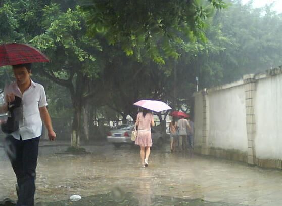 梦见刮大风特别大的风还下雨是什么意思