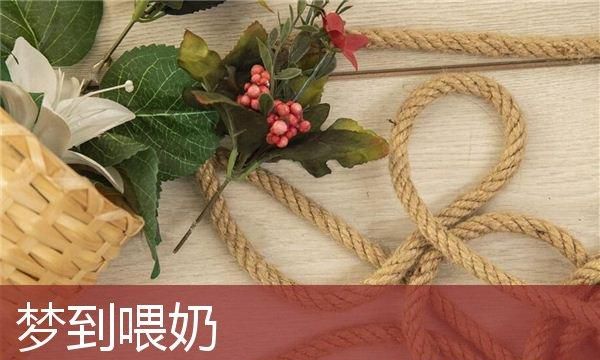 梦见自己给小女孩喂奶是什么意思,没有奶水