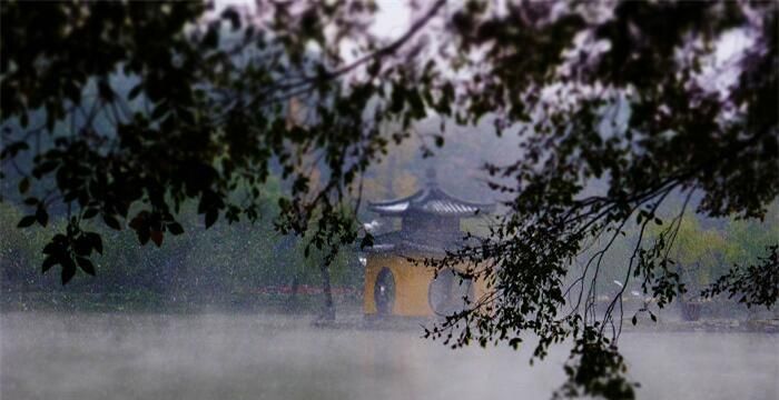 梦见被大雨淋湿图2