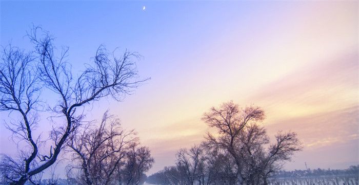 梦见大雪满地很厚，大雪的寓意和象征图1