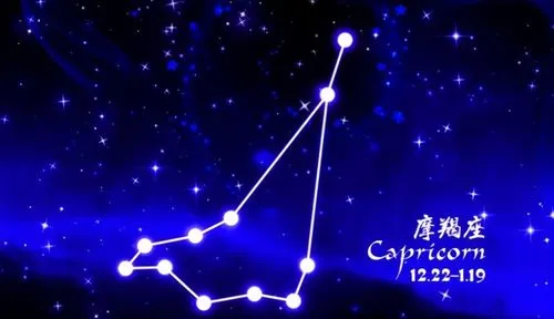 追求完美的星座有哪些图5