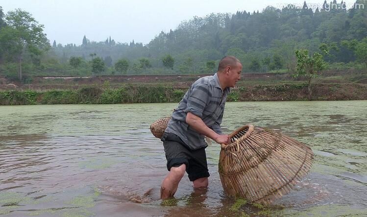 梦见自己捉鱼是什么意思周公解梦佛滔算命网