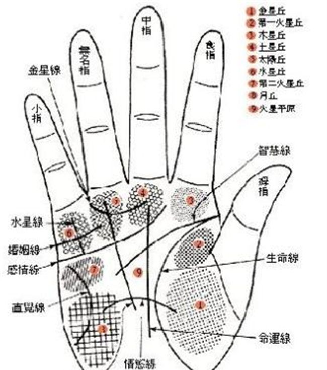 横财运的手相 招财的手纹是什么图2