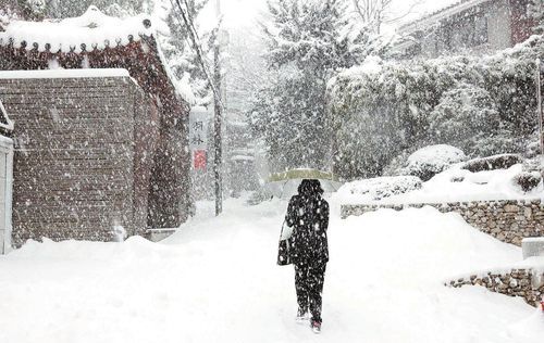 梦见自己在门前扫雪扫了一条道路什么意思