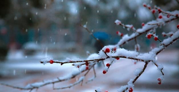 梦见飘雪花雪自己穿上棉大衣是什么征兆