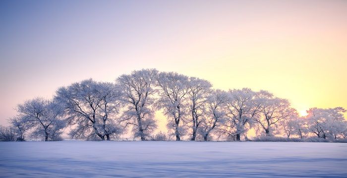 女人梦见家里很厚的雪什么意思图1