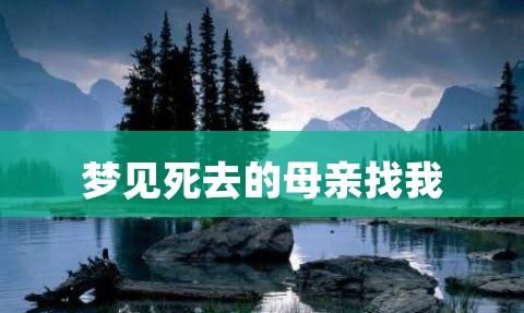 梦见死去的母亲还活着并和我在一起