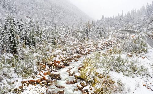 汤阴什么时候下雪还下雪吗