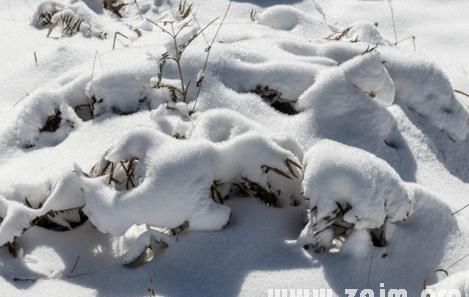 孕妇梦见下雪了是什么意思,好不好,代表什么