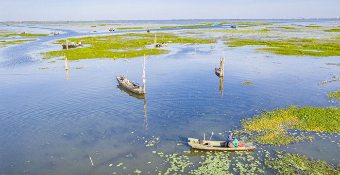 梦见和朋友买鱼塘，梦见鱼塘里有很多鱼死了是什么意思图1