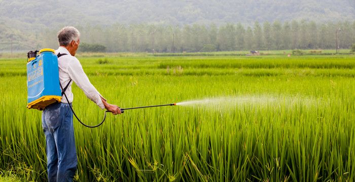 梦见过世父亲什么意思，梦见自己死去的父亲是什么意思图2