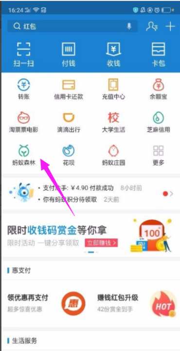 沙柳需要多少能量,沙柳要多少克能量才能吃图1