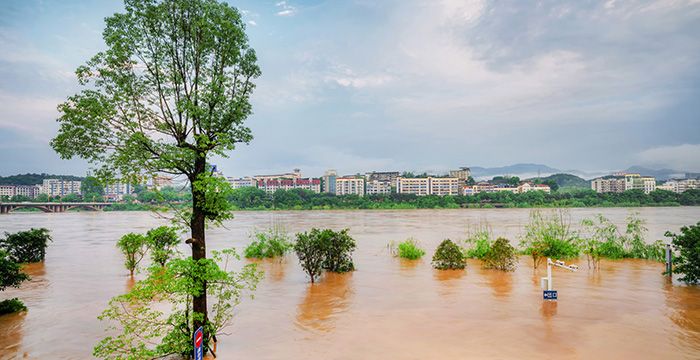 梦见孙子被水淹预兆，做梦被水淹是什么意思图2