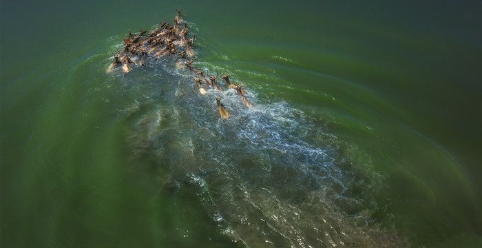 梦见趟水过河遇人挡道，梦见过河有人挡着不让过什么意思呀图2