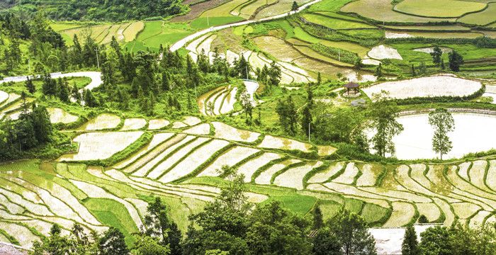 梦见水淹农田，梦见涨水田地被淹是什么征兆图1