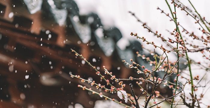 梦见房子漏水屋里全是水，梦见老家房子漏雨是什么意思图2