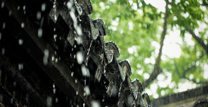 梦见下雨后无路可走，梦见降雨导致道路堵塞什么意思图1