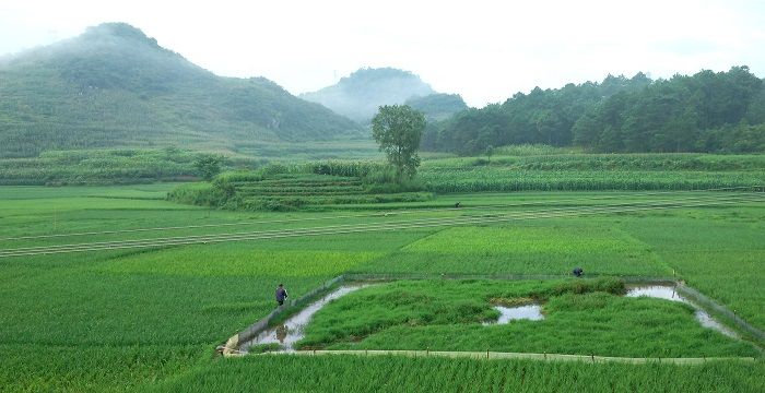 梦见田里满满的水，女人梦见田里好深的水是什么意思图1