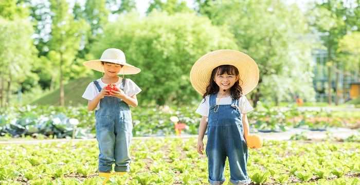 梦见两个小孩一男一女，梦见一男一女两小孩预兆什么意思图1