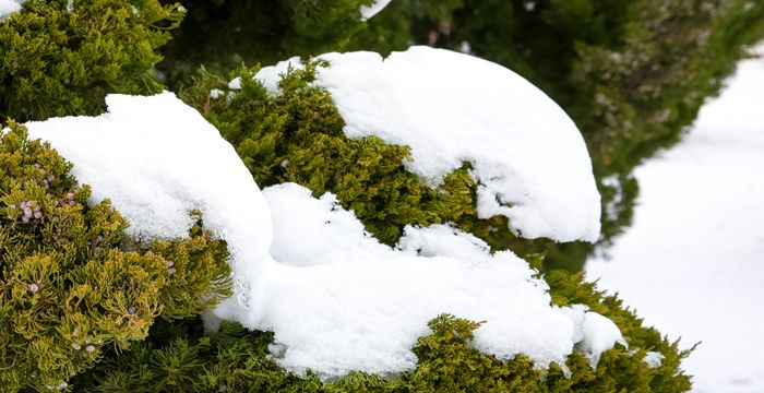 冬天梦见下雪是什么意思，做梦梦见下雪是什么预兆解梦图2