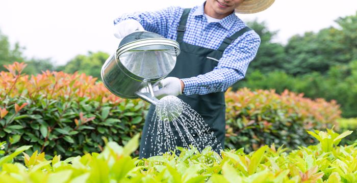 女人梦见浇地水好大，女人梦见浇地是什么预兆中日友好医院李什么图1