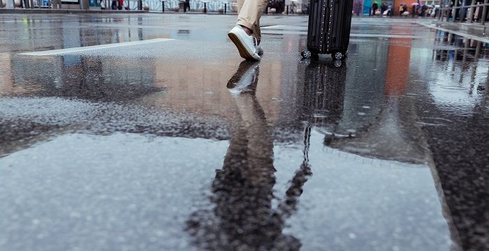 梦见下大雨路面很多鱼，女人梦见下雨路上全是水图2