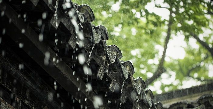 怀孕梦到下雨是什么征兆，孕妇梦见鸡生蛋是什么含义图2