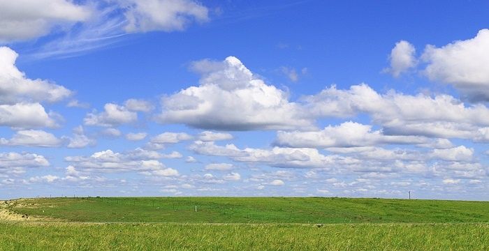 女人梦见一大片绿草地，梦见走路看见一片绿草地的预兆是什么图1