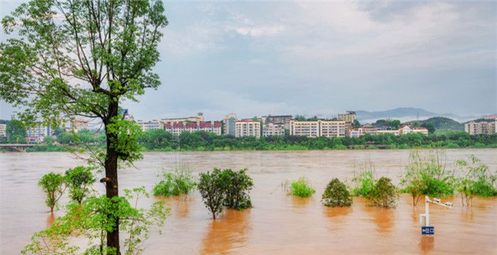 梦到发大水水很凶猛自己在拼命的逃跑图1