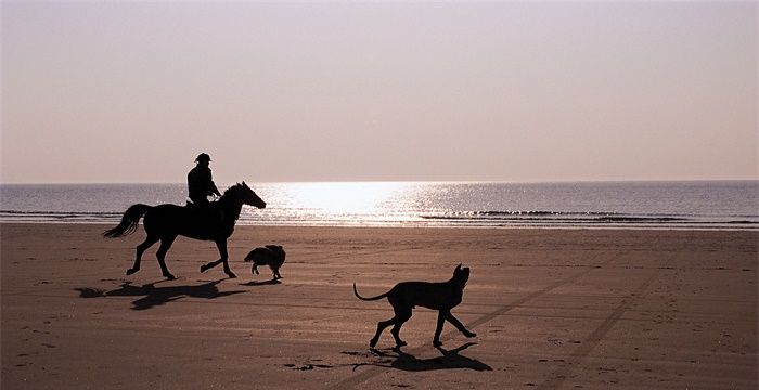 男人梦见骑马是什么兆头图1