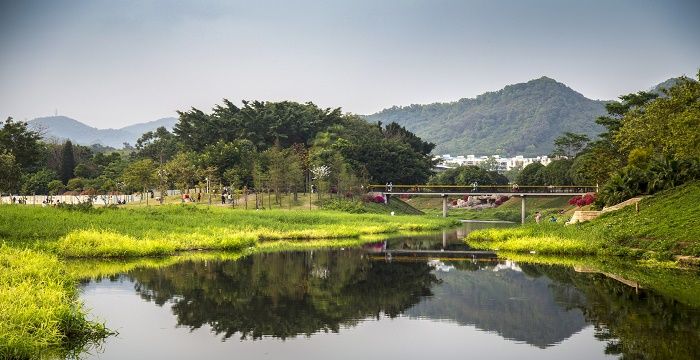 梦见过河水很清很顺利的过去了图1