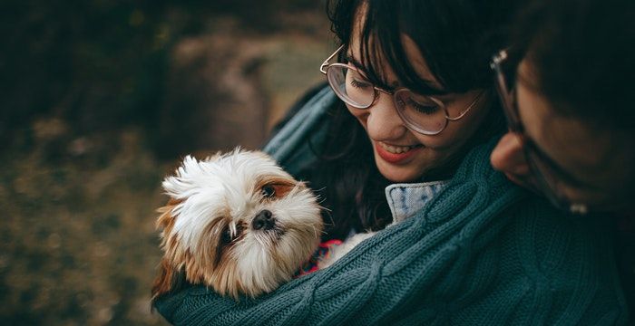 梦见抱小狗是什么意思，女人梦见抱着小狗什么预兆图2