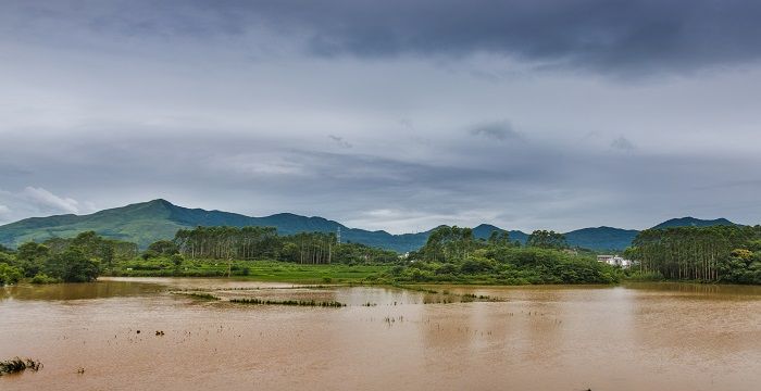 梦到下大雨发大水是什么意思，女人梦到下大雨发大水是什么意思图2