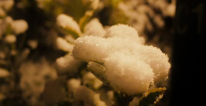 梦见雨夹雪图1