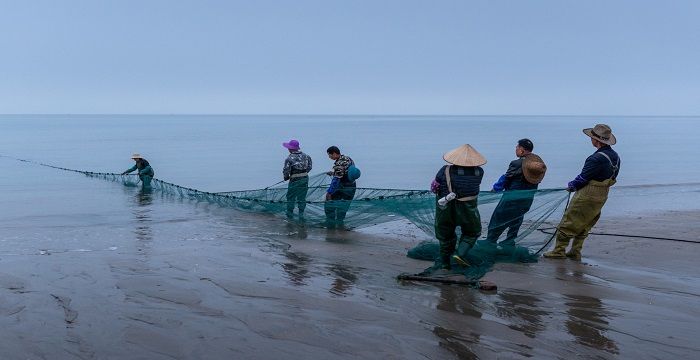 梦到捞鱼是什么意思，梦见捞鱼有什么说法图1