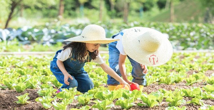 梦见自己同时抱着两个小孩图1