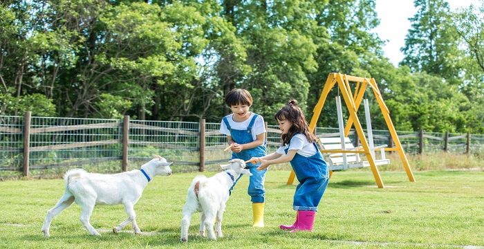 梦见自己同时抱着两个小孩图2