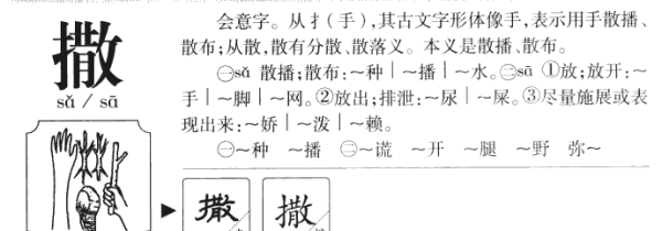 撒的多音字组词,撒的多音字组词有哪些图1