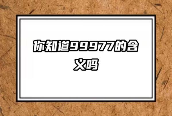 99977的数字代表什么,99977的含义是什么意思图2