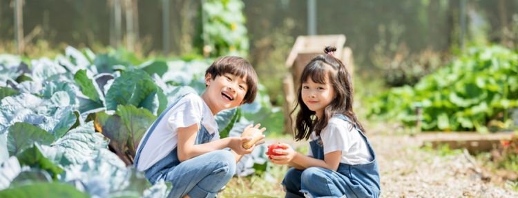 孕妇梦见别人家小女孩是什么意思图2