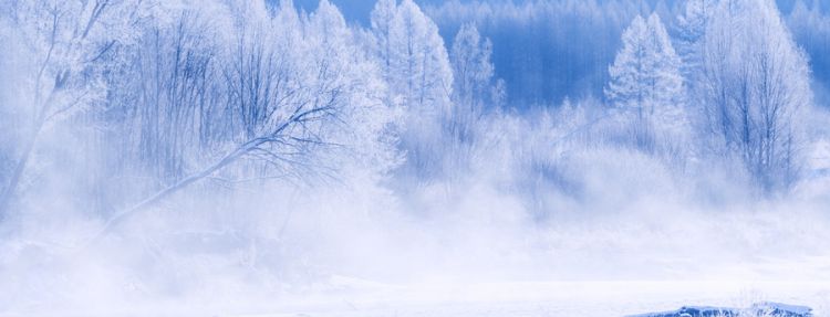 孕妇梦见雪地里行走什么意思，孕妇梦见在雪地里骑车是什么意思图1