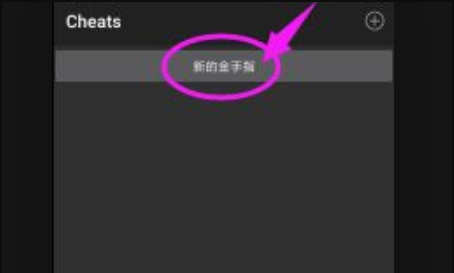 口袋妖怪红宝石金手指代码,口袋妖怪红宝石金手指代码大全图6