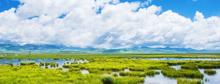 梦见大水淹路是什么意思，做梦梦见自己的车被水淹了预兆图2