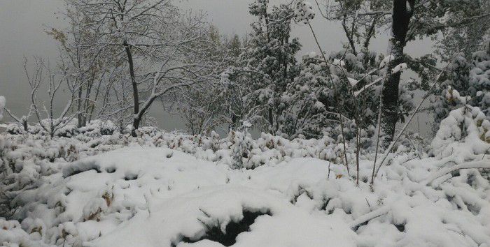 已婚女人梦见下雪是什么意思，已婚女人梦见下雪预示着什么意思图1