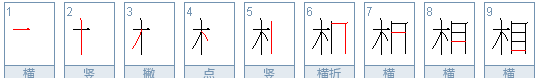 双木不成林是哪个字谜,猜字谜心上双木不成林图2