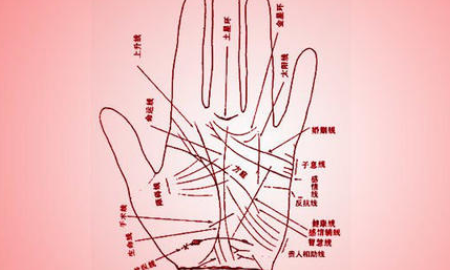 寿命看手相还是面相,左手螺纹和右手螺纹是什么意思图2