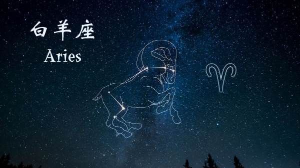 最有经商头脑的星座,十二星座中聪明排行榜图14